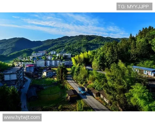 扎克拉文：从天赋异禀到全明星之路的奋斗与荣耀