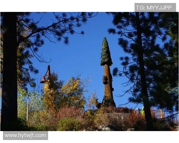 萨克拉门托与雷诺的激烈对决展现篮球魅力与团队精神